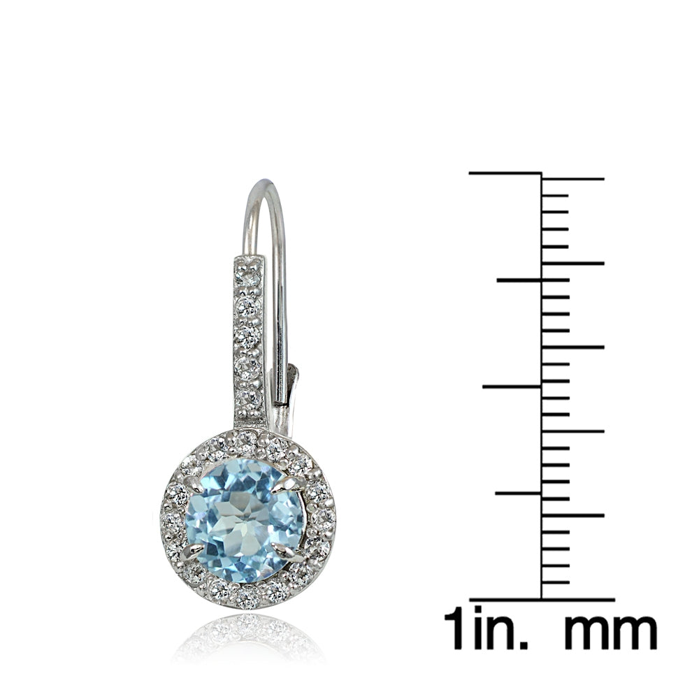 Sterling Silver Blue and White Topaz Round Leverback Earrings-4